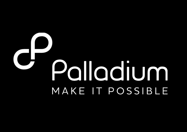 Job Opportunity at Palladium, Internship