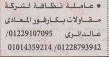 اهم وافضل الوظائف اهرام الجمعة وظائف خلية وظائف شاغرة على عرب بريك