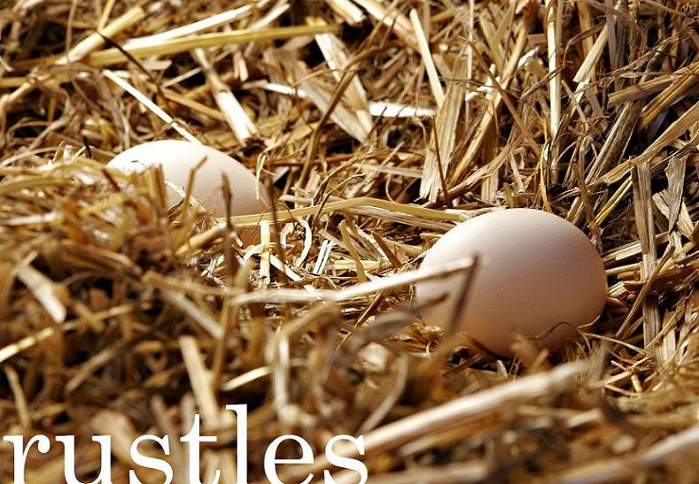 rustles in the straw