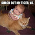 Check My Tiger!