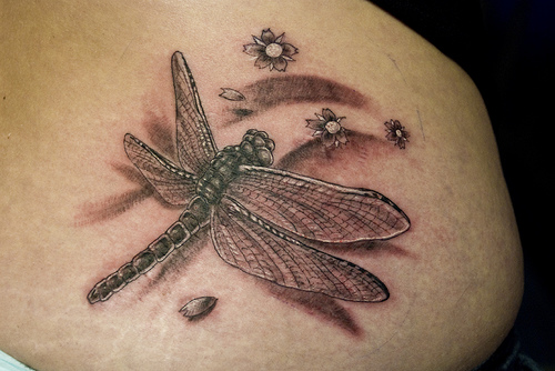 Dragonfly Tattoo Designs for