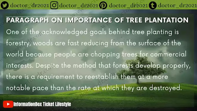 PARAGRAPH ON IMPORTANCE OF TREE PLANTATION 1