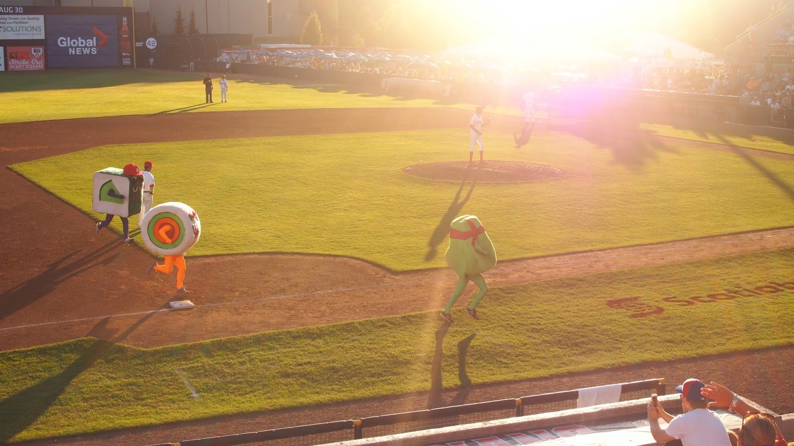 Vancouver Canadians Baseball | Scotiabank Field at Nat Bailey Stadium