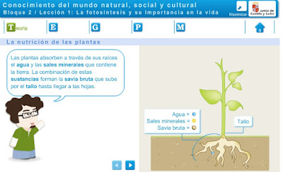 http://www.educa.jcyl.es/educacyl/cm/gallery/recursos_ambientech/conocimiento_medio_5p/indice_asignatura.swf