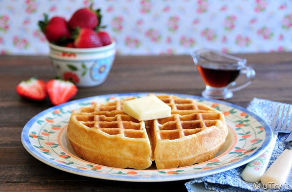 Basic Waffles