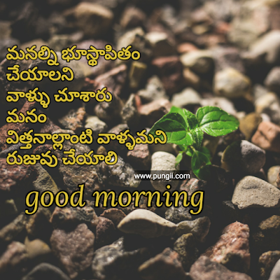 Top 5Telugu Good Morning Quotes & Greetings with Images