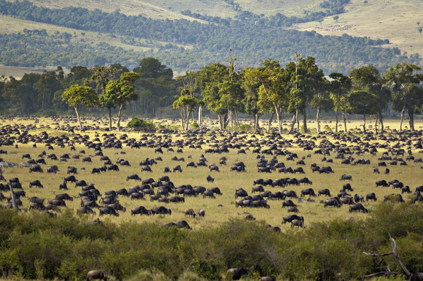 Foto Reisen Masai Mara, Kenia mit Uwe Skrzypczak www.serengeti-wildlife.com