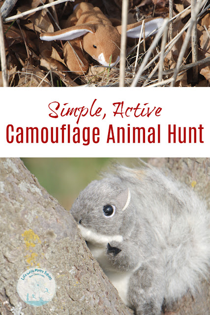 Set up a Animal Camouflage Hunt for Quick, Hands-on Learning
