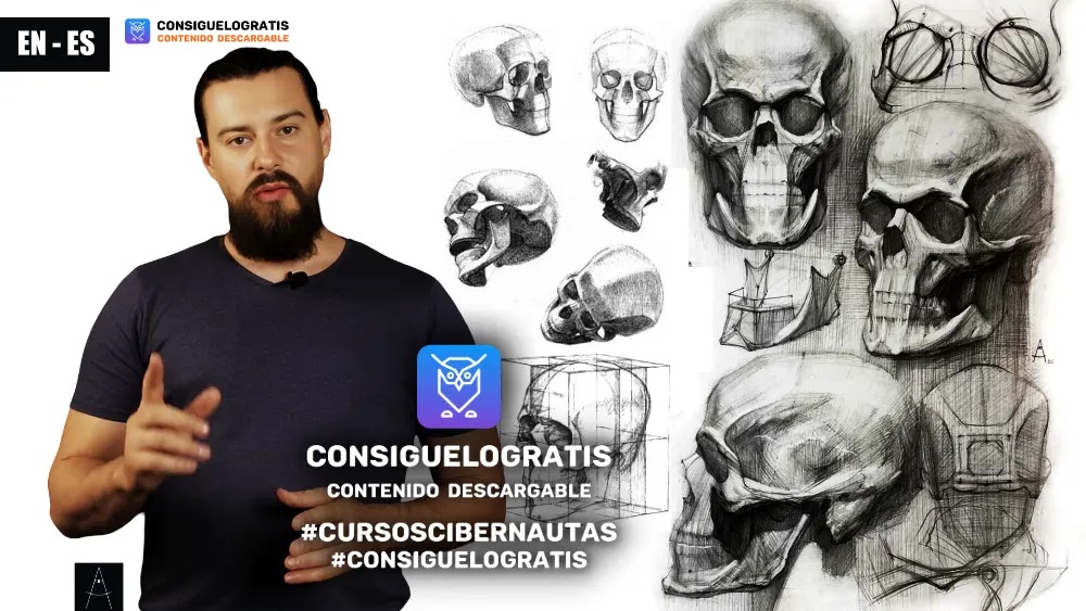 Cómo dibujar un cráneo humano. Curso de dibujo académico