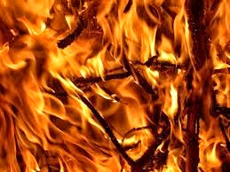 A nearly 1,000 mile wildfire and strong winds put Sydney in a state of emergency