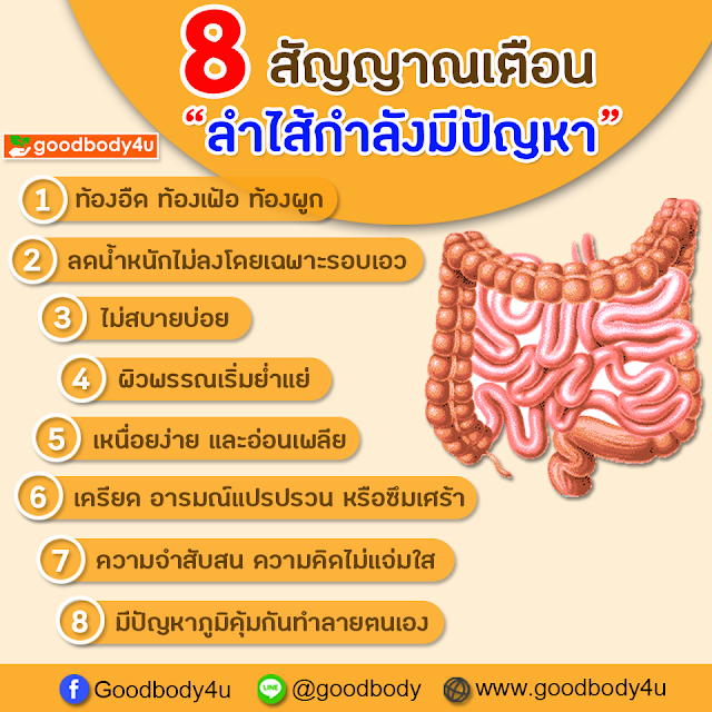 ท้องอืด, ท้องเฟ้อ, อาหารไม่ย่อย, goodbody4u, นิชาภา