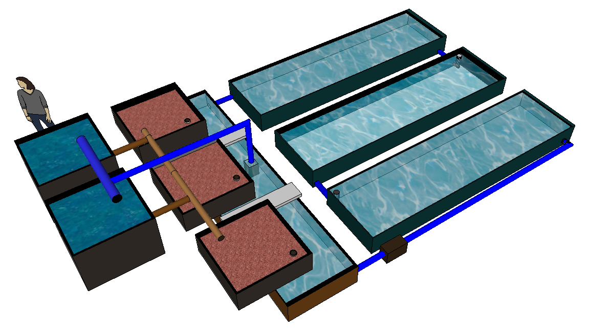 Murray visits the USA teaching Commercial Aquaponics