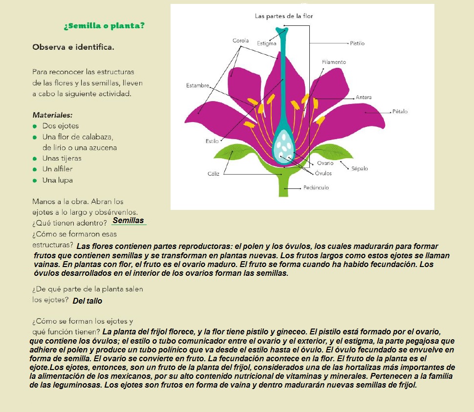 Libro De Ciencias Naturales De Cuarto Grado Contestado - Libros Famosos