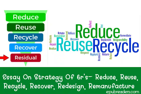 Essay On Strategy Of 6r's- Reduce