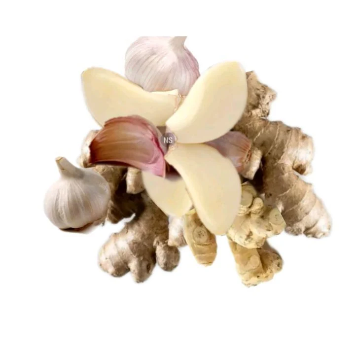 The Power of Garlic and Ginger: What You Need to Know Before Consuming