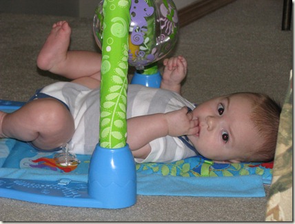 IMG_1105 IMG_1105