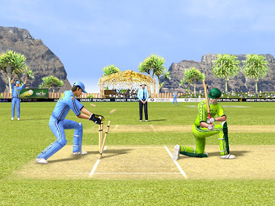 cricket revolution mind storm Pc Game