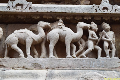 Camels Depicted at Khajuraho
