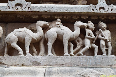 Camels Depicted at Khajuraho Camels Depicted at Khajuraho