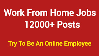 18-Highest-Income Work From Home Jobs 2024 ! Check Out All Details ! 10th/+2/+3 Pass Can Apply