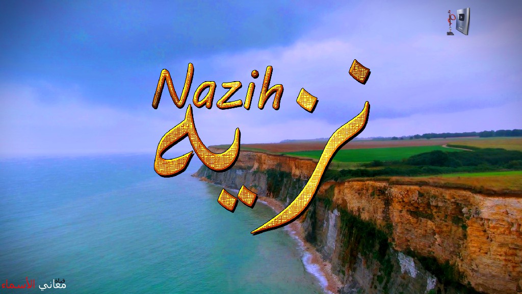 معنى اسم, نزيه, وصفات, حامل, هذا الاسم, Nazih,