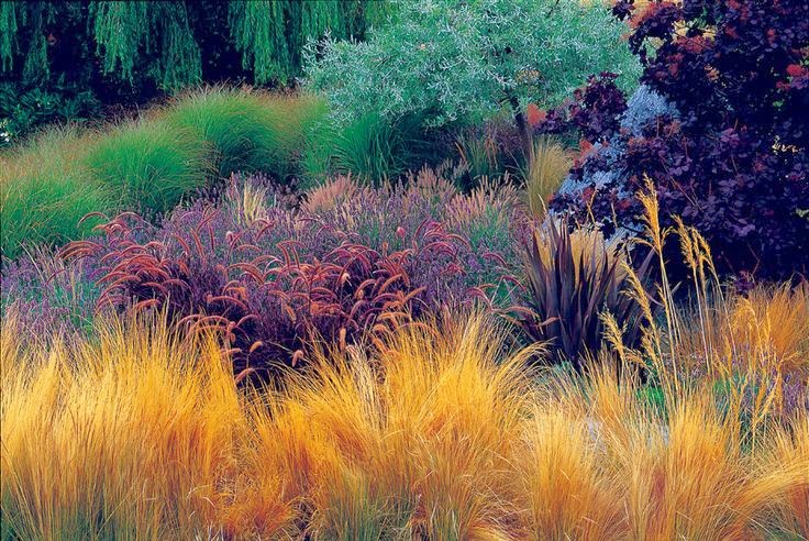 http://statebystategardening.com/state.php/la/articles/designing_with_ornamental_grasses_for_showy_year-round_intrigue_and_ease/