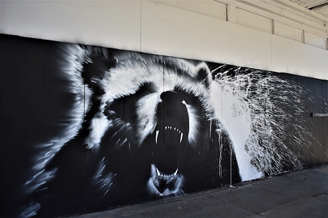 Launceston Street Art | Mural by @50ShadesOf Chrome