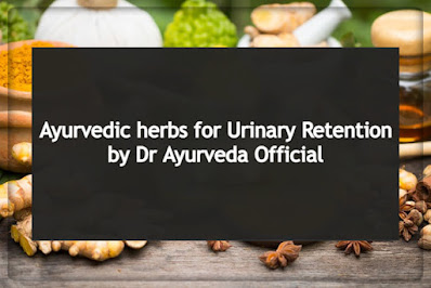 Ayurvedic herbs for Urinary retention