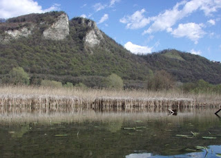 Palude di Brivio - fiume Adda