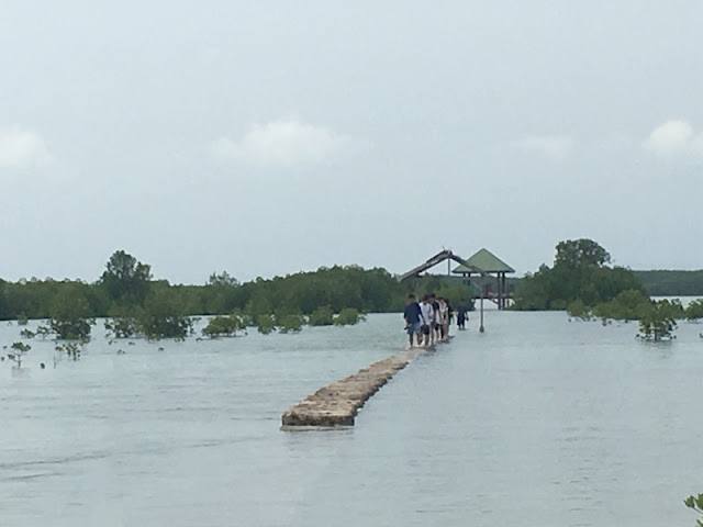 Olango Island Wildlife Sanctuary aka Bird Sanctuary