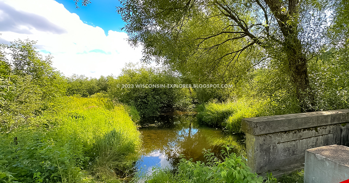 pool of water beneath a tree