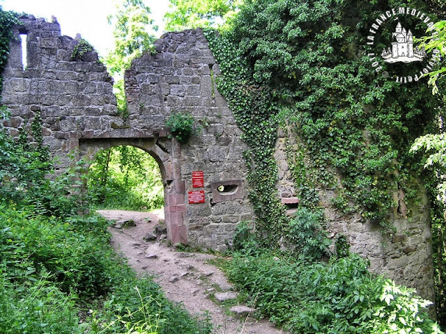 ANDLAU (67) - Le château-fort du Haut-Andlau (XIIIe siècle)