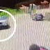 Vídeo: Mulher flagra traição e joga carro contra namorado 