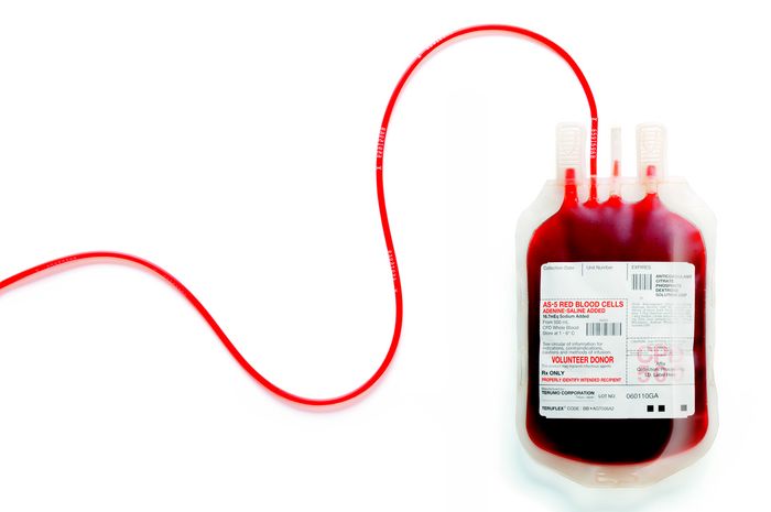 Biaya yang Dibutuhkan untuk Mendapat Darah Donor dari PMI 