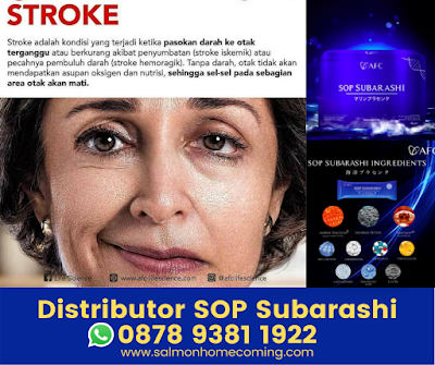 Obat Stroke Ringan Sebelah Kanan SOP Subarashi - WA 0878 9381 1922, SOP Subarashi untuk Apa