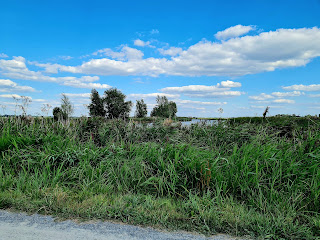 Mit dem Fahrrad am Sloter Meer