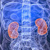 15 Common Habits That Can Damage Your Kidneys