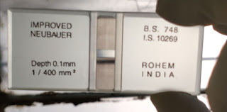 improved neubauer counting chamber