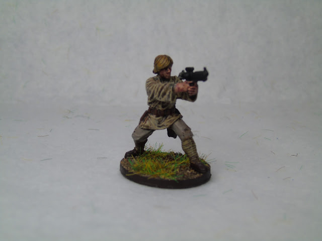 painted luke skywalker imperial assault 