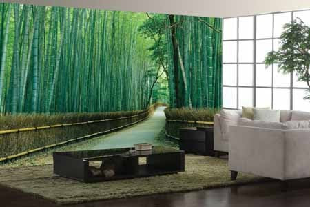Wallpaper Dinding Ruang Tamu Motif Hutan Bambu  WALLPAPER 