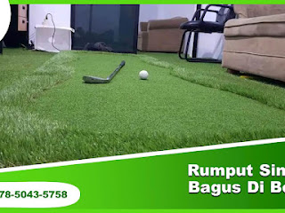 Harga Rumput Sintetis Bagus Di Bekasi