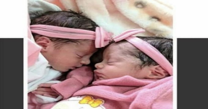 SUDOESTE BAIANO: Gêmeas recém-nascidas morrem após serem atacadas por cachorro da família em Piripá.