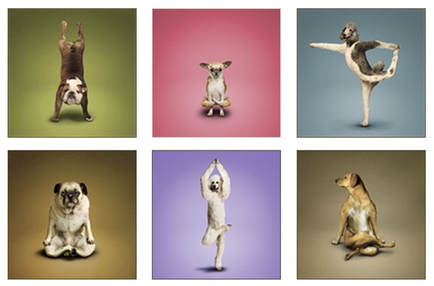 caesyoga20091