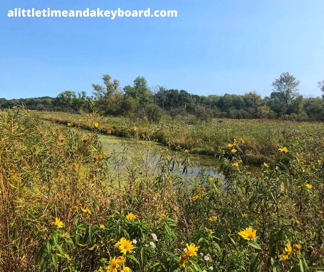 Wetlands welcome a plethora of wildlife including egrets, heron, sandhill cranes and more at Moraine Hills State Park.