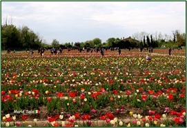 TI_CAMPO_07
