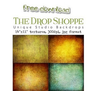 The Drop Shoppe