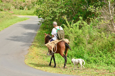 Man on Horseback Nuku Hiva