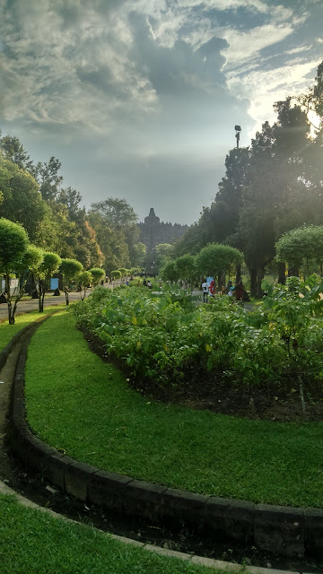 CLIMB CANDI