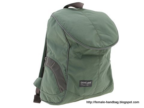 Female-handbag:handbag-1218132