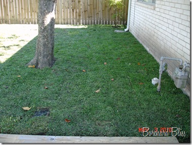 Backyard Reno 024